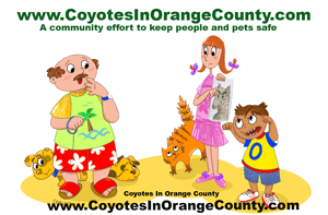 Coyotes In Orange County